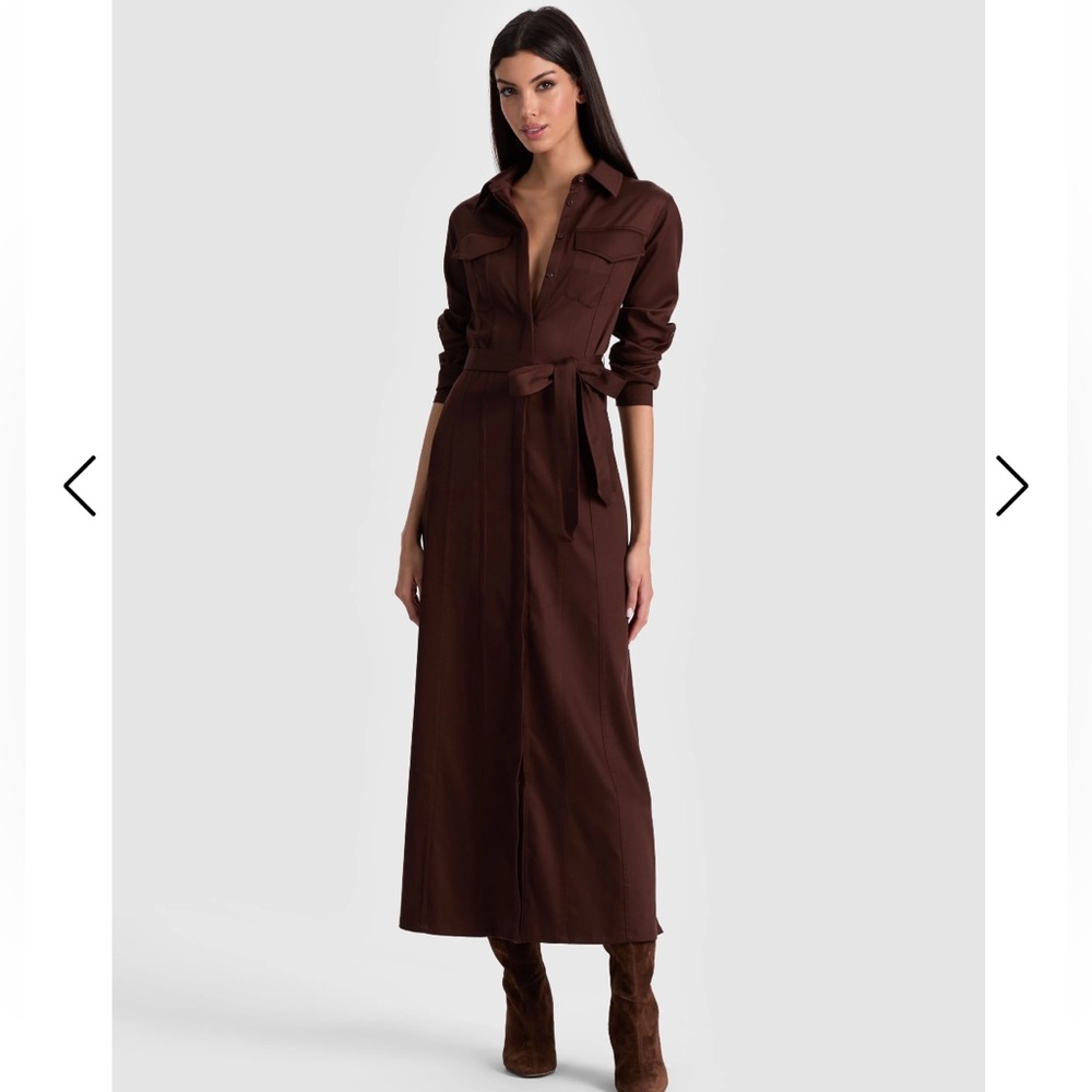 Alice + Olivia Chassidy Maxi Dress